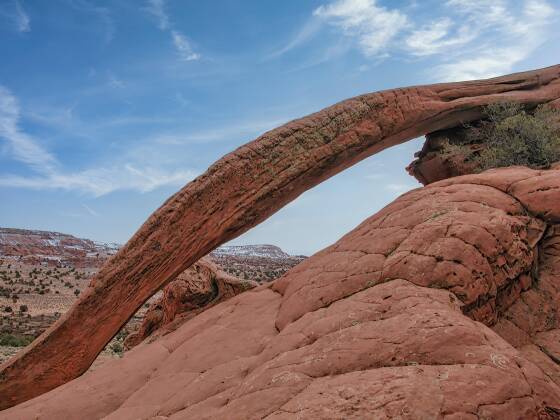 Cobra Arch 3 Cobra Arch in Utah