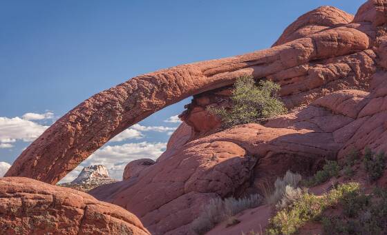 Cobra Arch Framing The WHite Pocket Cobra Arch in Utah