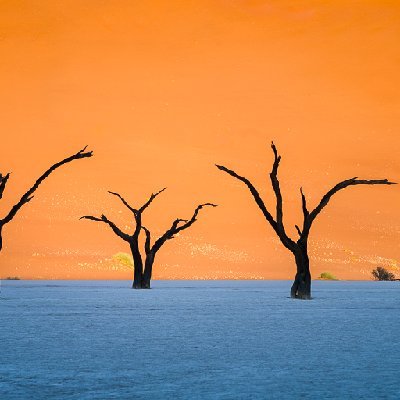 Deadvlei