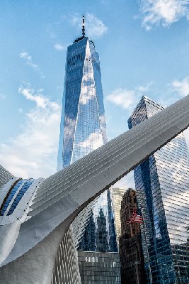 The Oculus and the Freedom Tower