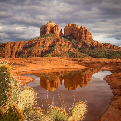 Cathedral, Cactus and Clouds Cathedral Rock reflected in pool with prickly pear cactus in Sedona, AZ