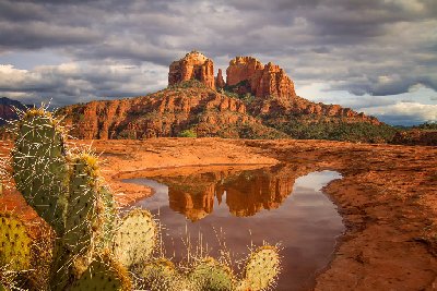 Cathedral, Cactus and Clouds Cathedral Rock reflected in pool with prickly pear cactus in Sedona, AZ