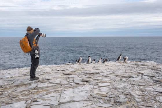 Elaine at Rockhopper Point Rockhopper Point on Sea Lion Island in the Falklands.