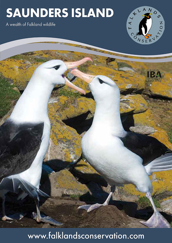 Brochure about Saunders Island in the Falkland Islands