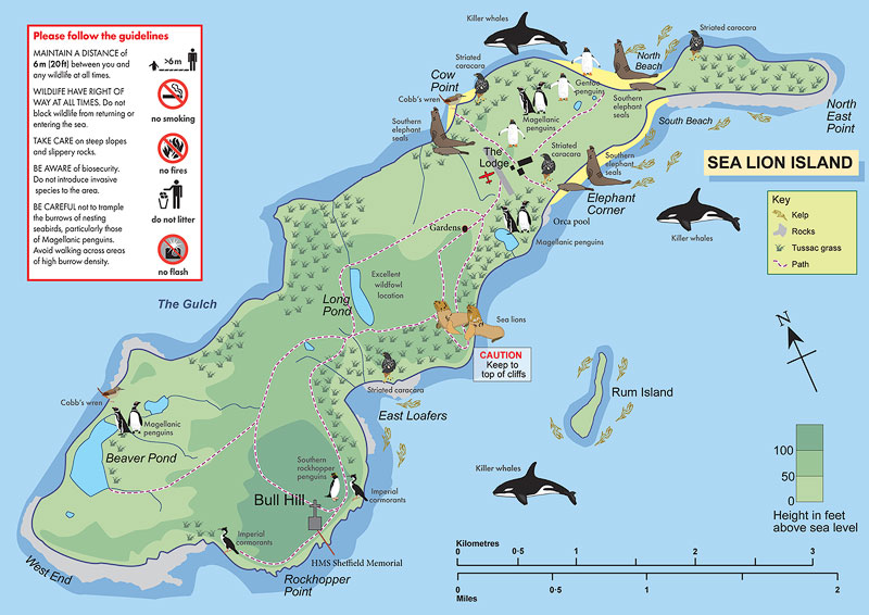 Map of Sea Lion Island in the Falkland Islands