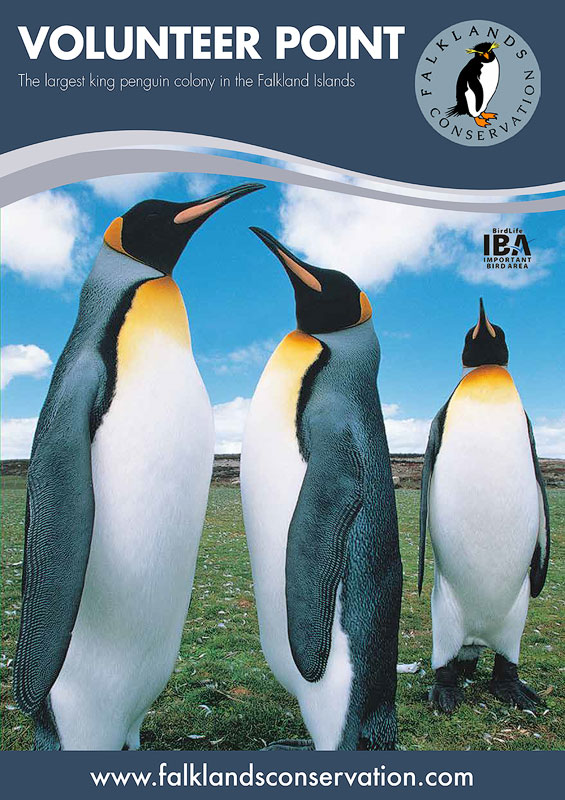 Brochure about Volunteer Point on East Falkland Island