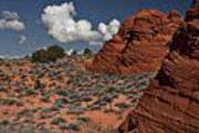 Coyote Buttes South