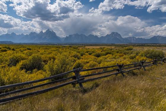 Buck and Rail Fence Buck and Rail fence, Grand Teton National Park