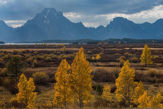 Mount Moran Mount Moran shot .3 miles north of Jackson Lake Junction, Grand Teton National Park, Wyoming