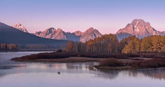 First light on Mount Moran Trumpeter Swans and Mount Moran in Grand Teton National Park, Wyoming