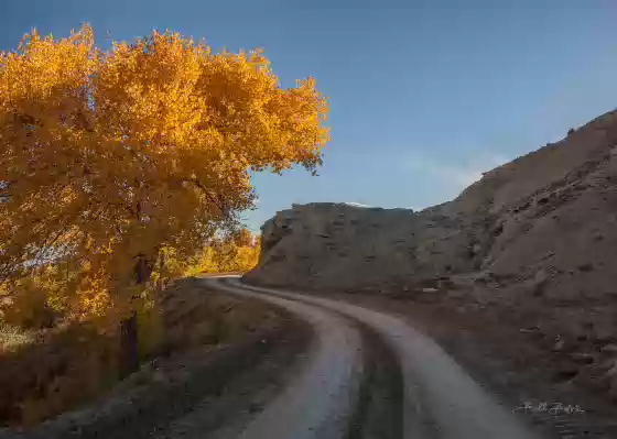 Backroad near Caineville, Utah Backroad and Cottonwood near Caineville, Utah