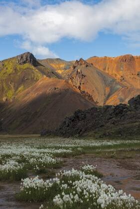 Landmannalaugar 11 Landmannalaugar in Iceland's southern Highlands