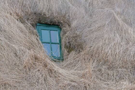 Vidimyrarkirkja Roof Window and roof of the Vidimyrarkirkja Turf Church in northwest Iceland.