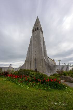 Church of Iceland 1 The Lutheran Church and tulips in Reykjavik, Iceland.