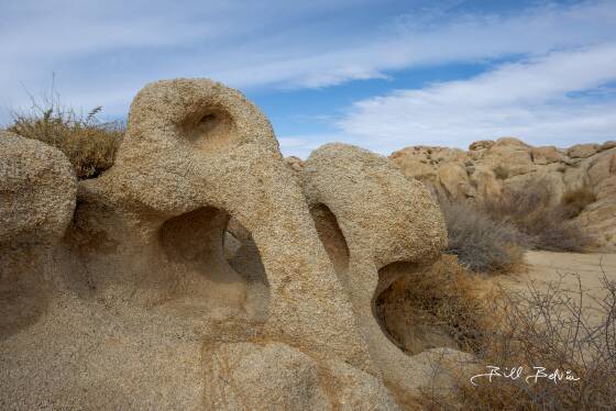 Small Elephants Small Elephant Arch and Sibling n Northeast Joshua Tree NP.