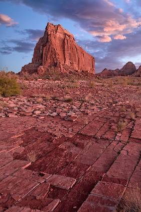 Tessellated Rock Tessellated Rock with Dominguez and Boundary Buttes in the background