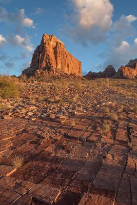 Tessellated Rock Tessellated Rock with Dominguez and Boundary Buttes in the background