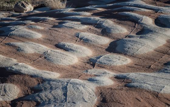 Last Chance Bay 2 Erosion patterns on the shore of Last Chance Bay