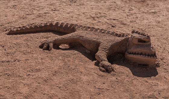 Crocodile Sculpture Crocodile Sculpture in Mountain Sheep Canyon