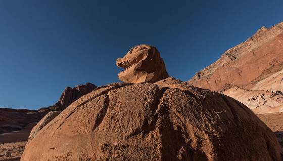 Newborn Croc Sand Sculpture Newborn Crocodile with Egg Sculpture in Mountain Sheep Canyon