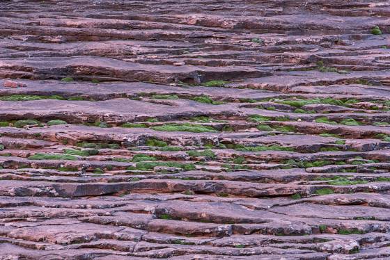 Purple Steps Sandstoe patterns on the shore of Rainbow Creek