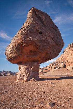 Bird Shaped Rock 6 Balanced Rocks near Lees Ferry