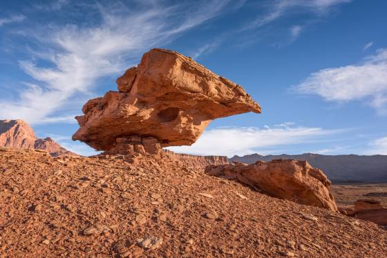 Bird Shaped Rock Balanced Rocks near Lees Ferry