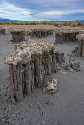 Sand Tufas West 1 The west group of Sand Tufas near Mono Lake, California