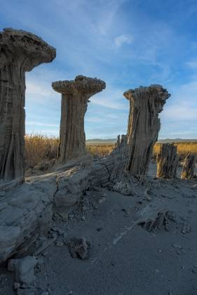 Sand Tufas West 3 The west group of Sand Tufas near Mono Lake, California