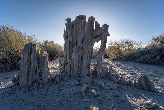 Sand Tufas West 4 The west group of Sand Tufas near Mono Lake, California