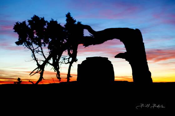 Merrick Butte Framed Merrick Butte framed by Tree, tree has since been cut down
