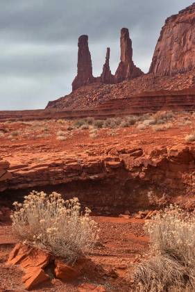 The Three Sisters in April 2 Flowering bush and the Three Sisters in Monument Valley