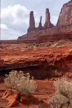 The Three Sisters in April 2 Flowering bush and the Three Sisters in Monument Valley