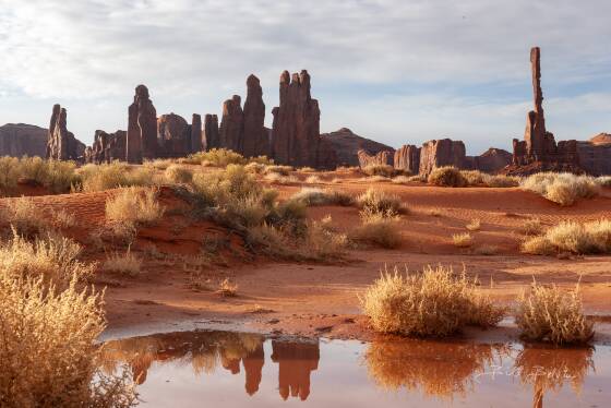 Yei Bi Chei Reflected Yei Bi Chei and the Totem Pole reflected in a water pool shortly after sunrise.