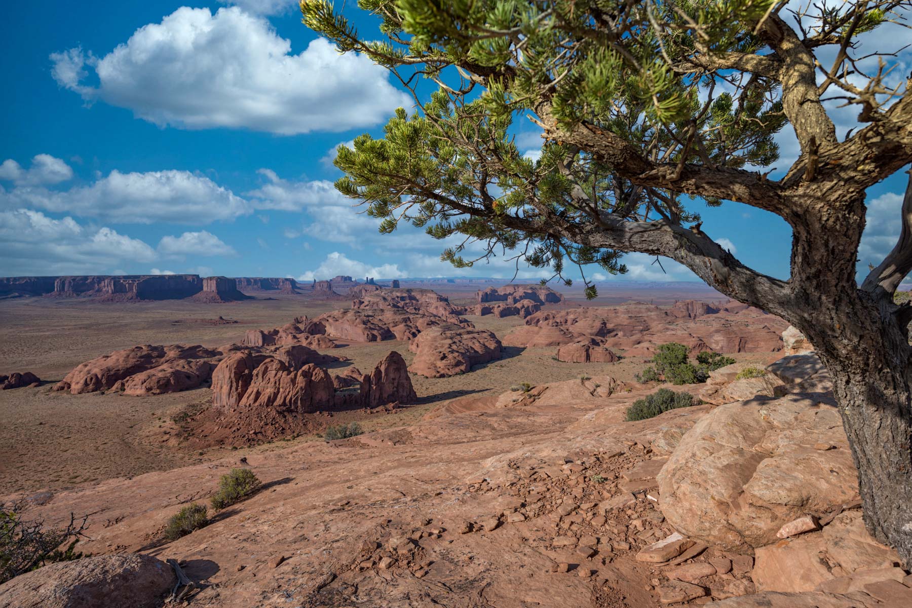 View of Monument Valley from Hunts Mesa