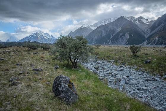 Dry Glacial Stream