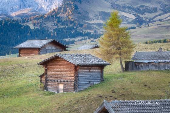 Alpe di Siusi 7 Alpe di Siusi aka the Seiser Alm in the Dolomites, Italy.