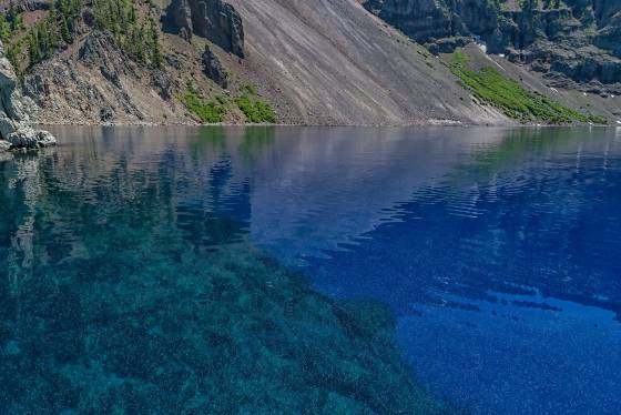 Pollen Distributed Crater Lake in Oregon