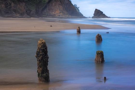 Neskowin Ghost Forest No 2 Neskowin Ghost Forest and Cascade Head on the Oregon Coast