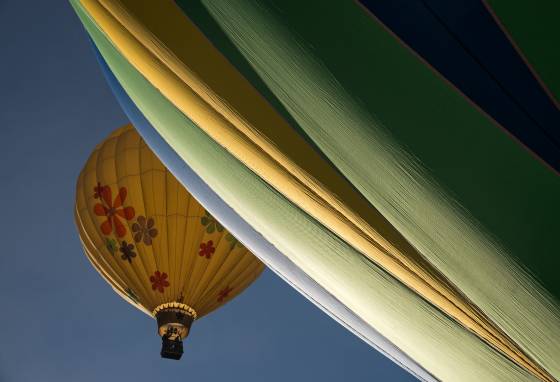 In the air 5 Balloons in the air at the Page Balloon Regatta