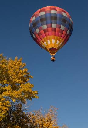 In the air 9 Balloons in the air at the Page Balloon Regatta
