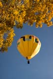 Ballooon at takeoff at the Page Balloon Regatta