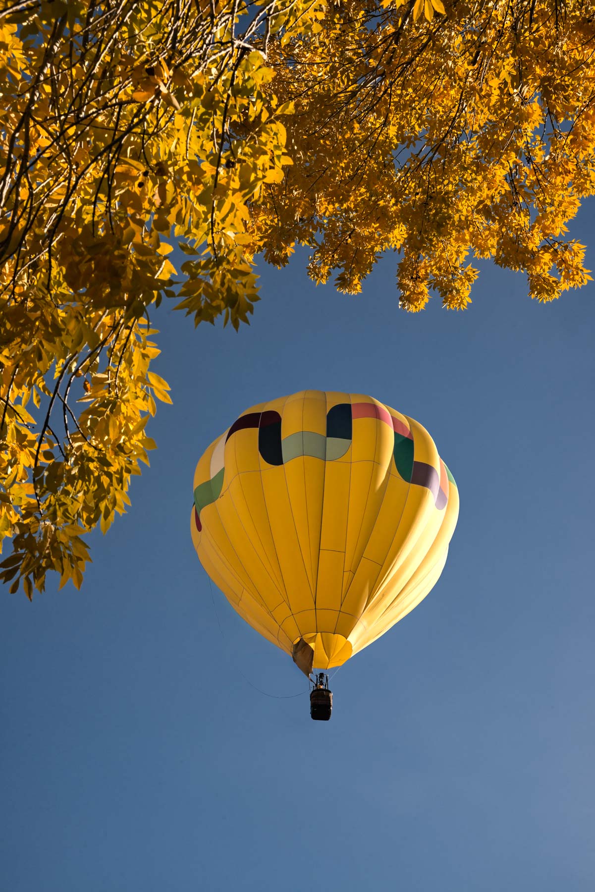 Ballooon at takeoff at the Page Balloon Regatta