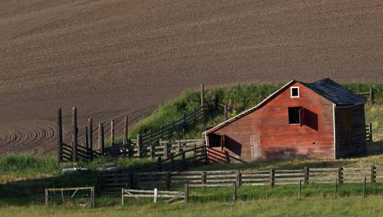 Barn Barn off Parvin Road in the Palouse