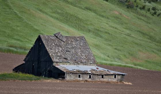 Barn Barn off Ladow Butte Road in the Palouse