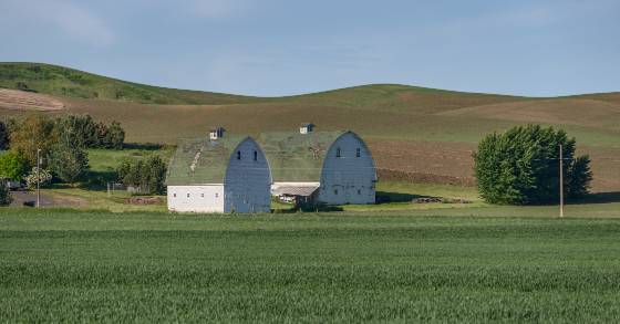Twin Barns Twin Barns viewed from Oakesdale Road in the Palouse