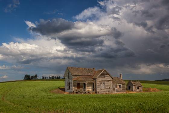 Abandoned House in the Palouse Abandoned house on Whitman Rd in the Palouse