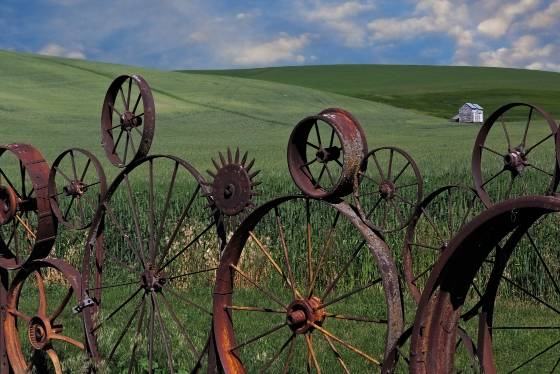 Dahmen Barn Wagon Wheels Wagon Wheels at the Dahmen Barn in the Palouse