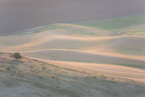 Steptoe Butte High Key High key image taken from Steptioe Butte in The Palouse