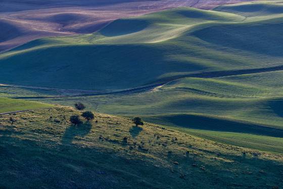 Steptoe Butte No 10 The view from Steptoe Butte in the Palouse.